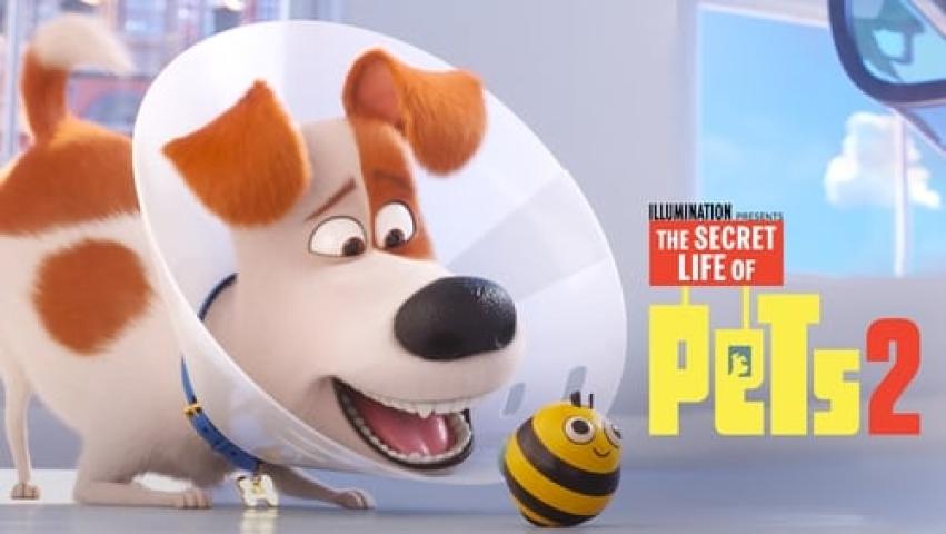 مشاهدة فيلم The Secret Life of Pets 2 2019 مترجم شاهد فور يو