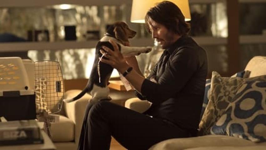 مشاهدة فيلم John Wick 1 2014 مترجم شاهد فور يو